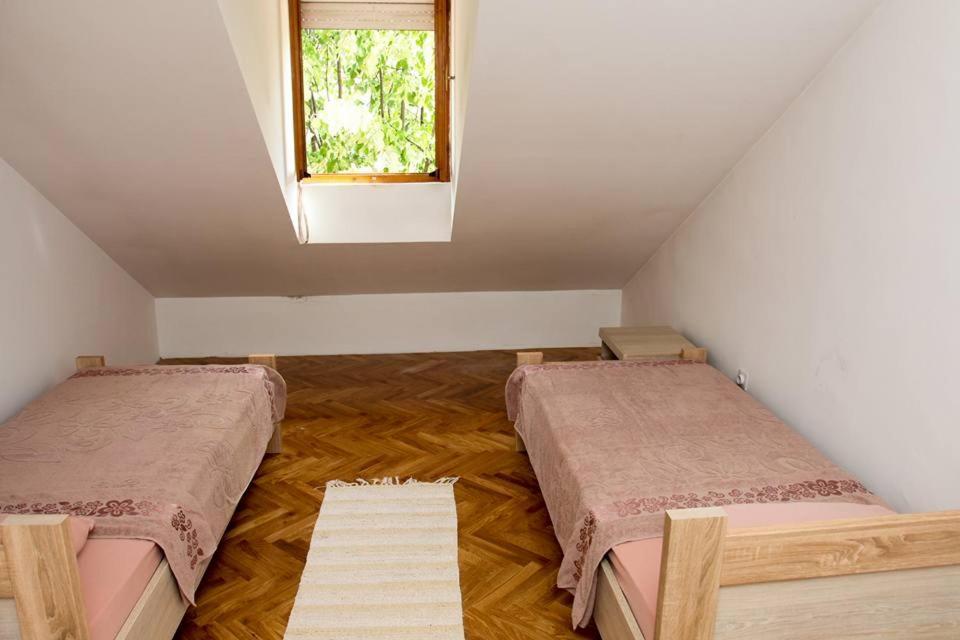 Green House Cetinje Exterior photo